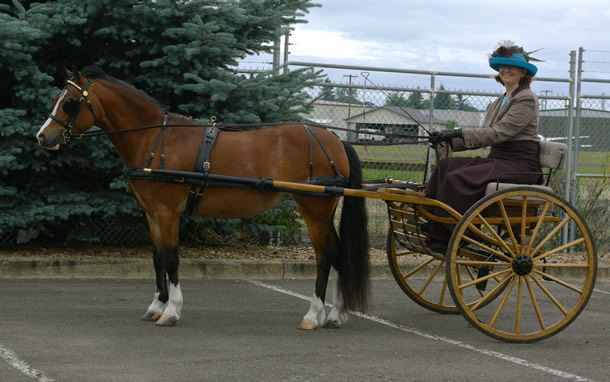 Lochinvar Portrait of a Lady 