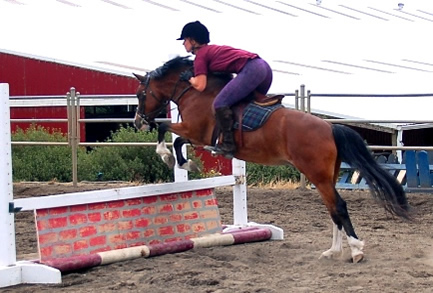 Jazzy over Jump