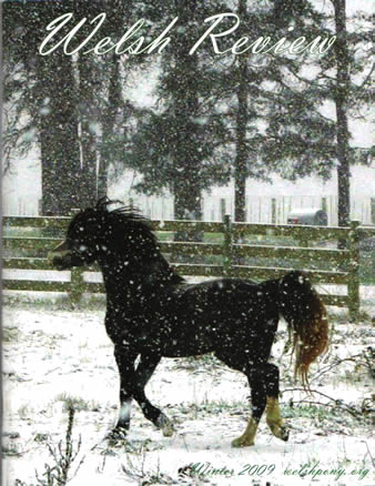 Manny on the cover of the Welsh Review.