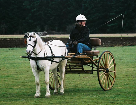 Patience and Pat await their turn at Happ's ADT