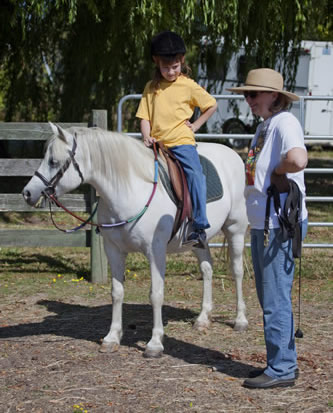 Patience the Lesson Pony